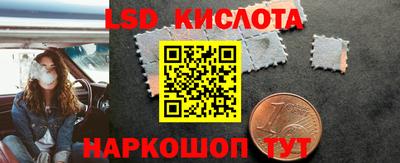 PSILOCYBIN Краснодар