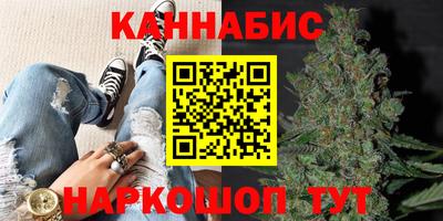 индика Краснознаменск
