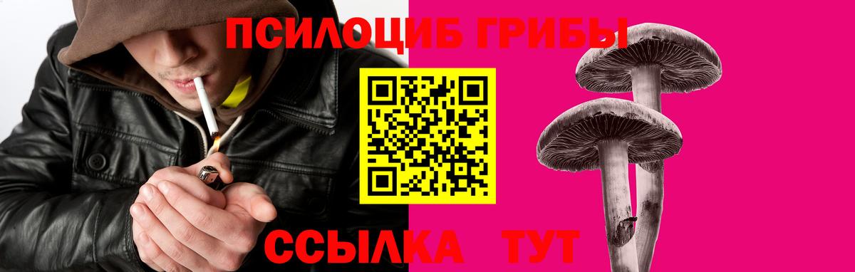 Галлюциногенные грибы мицелий Зима